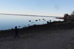 resIMG_20181123_145510_0491.JPG